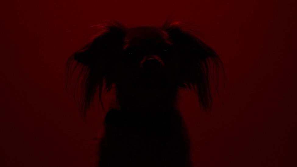 Ori