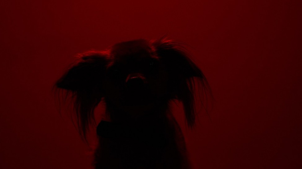 Ori
