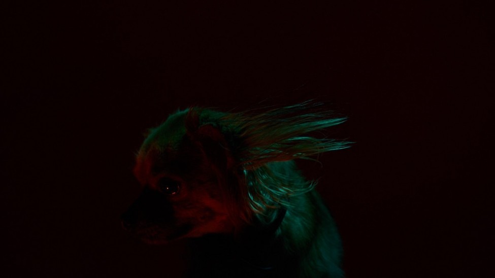 Ori