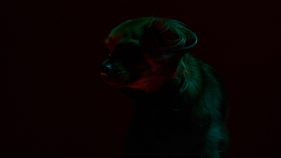 Ori