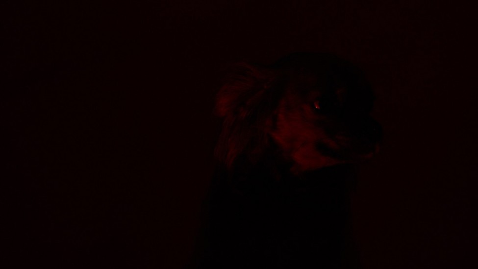 Ori